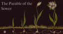 PARABLE2520OF2520THE2520SOWER2520title.jpg