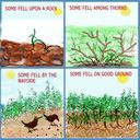 THE_SOWER_AND_THE_SEED1_221202104_std.jpg