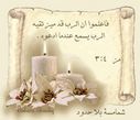 al-qatarya-2096c8d55a.jpg