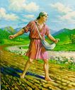 the-parable-of-the-sower.jpg