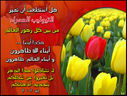 tulipe3vx8.jpg