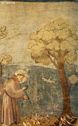 www-St-Takla-org___Saint-Francesco-d-Assisi.jpg