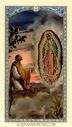 Juan-Diego-Laminated-Prayer-Card16462lg.jpg