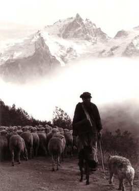 سر الكهنوت – دير القديس العظيم أنبا مقار