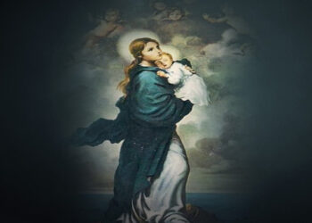 تساعية نجمة البحر