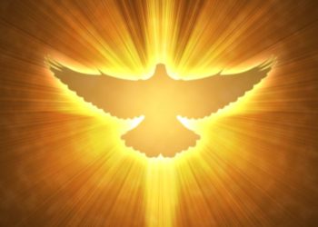 ما الفرق بين مواهب الروح وثمار الروح؟