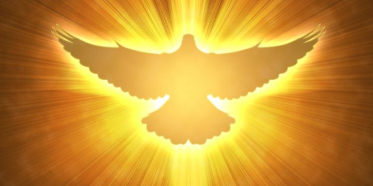 ما الفرق بين مواهب الروح وثمار الروح؟