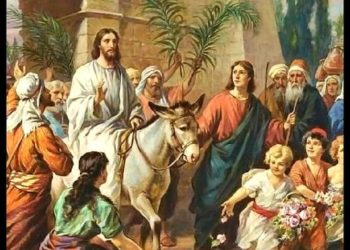 ما الذي حصل ولماذا: