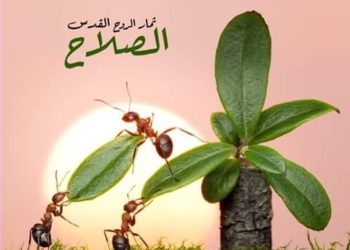 من ثمار الروح: الصلاح – التراث الأرثوذكسي