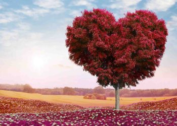 طول الأناة (طول البال واللطف)