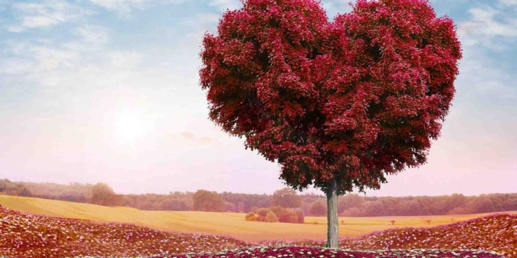 طول الأناة (طول البال واللطف)