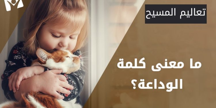 مفهوم الوداعة – كتاب عشرة مفاهيم (البابا شنودة الثالث)