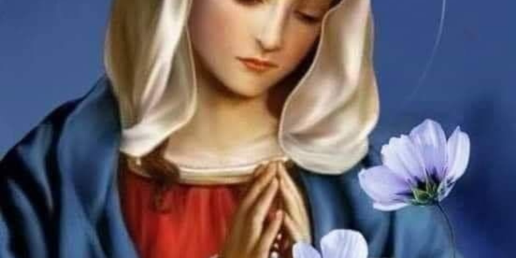 ثمر الروح الوداعة – قدس الأب كيرلس منصور