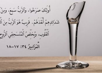 الألم والتعزية