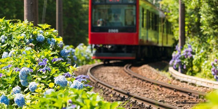 ما تزرعه اليوم تحصده فيما بعد … – قصة وعبرة