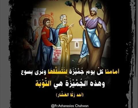 حشريّة زكّا جعلته يصعد على جُمَّيْزَةٍ ليرى يسوع – fr.athanasios chahwan