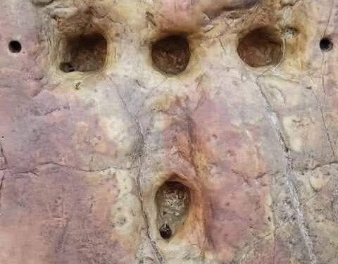 قصّة لا يعرفها معظم المسيحيين: عن العمود القائم في كنيسة المهد والمثقوب بهيئة صليب!