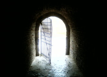 ساعة سجود-“القيامة: من الظلمة إلى النور”