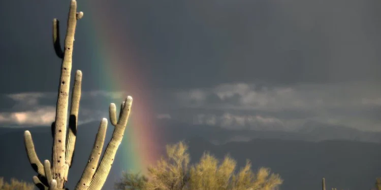 عهدُ الله… لا يُمحى بالمطر