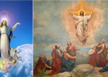 صعود الرب يسوع الى السماء وانتقال مريم العذراء… هل هنالك فرق؟