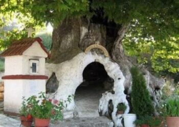 كنيسة السيدة العذراء باراميثيا (المعزية) داخل شجرة في اليونان..
