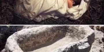 هل تعلم أن وجود يسوع في المذود كان له معنى تاريخي عميق؟ لم يكن الأمر مصادفة!