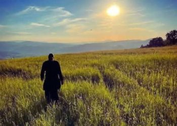 القربان المقدس الذي أنبت سنابل الذرة