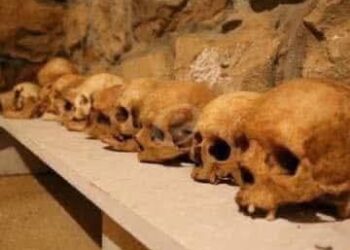 دير مار الياس شويا البطريركي – كنائس لبنان